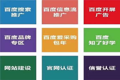 SEO与百度广告的结合：双管齐下的推广案例